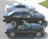 Click here to see all the cars!